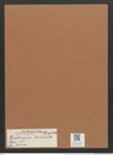 Diatoma hiemale (Lyngb.) Heib. (de-Toni-Nr.: Genus 58, Species 2540) Zeichnungen Sammlung Grunow Mappe 02718 (Herbarium_W_Grunow_drawings_Folder_02718)